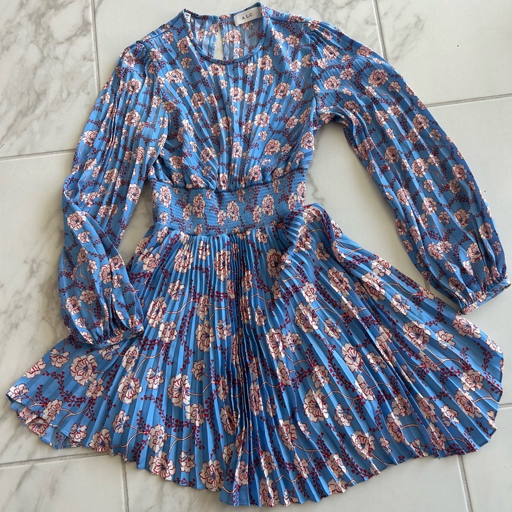 A.L.C. Blue and Red Floral Dress